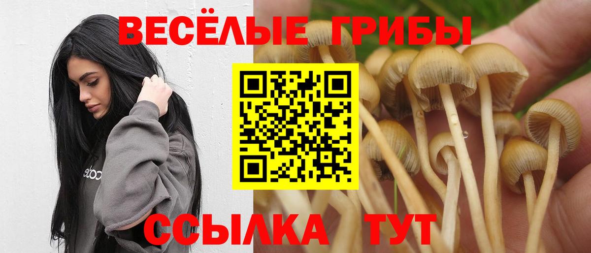Галлюциногенные грибы ЛСД Рязань