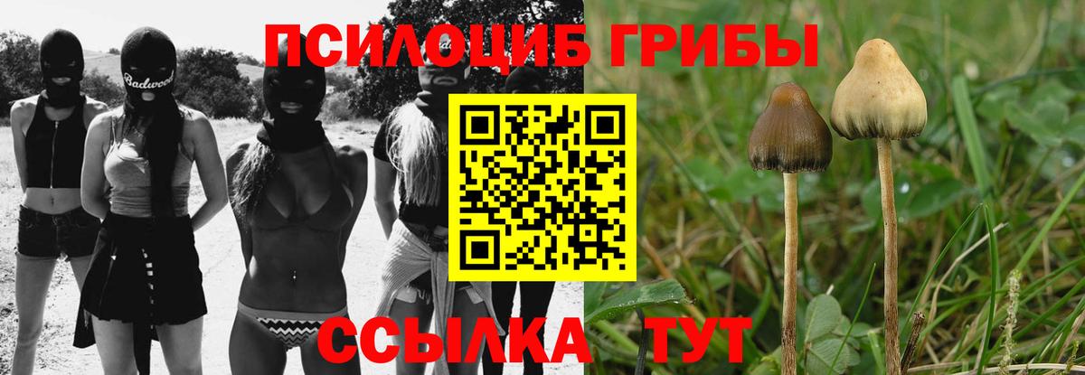 Псилоцибиновые грибы Magic Shrooms  Псилоцибиновые грибы Cubensis  Вход с VPN  Рязань 